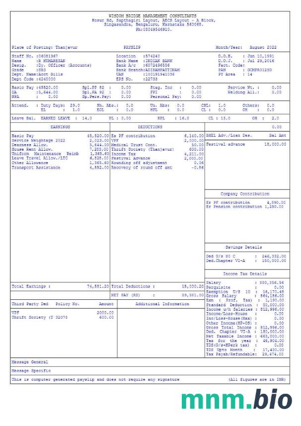 Szablon Wisdom Bridge Management Consultants payslip w formatach Word i PDF, 2